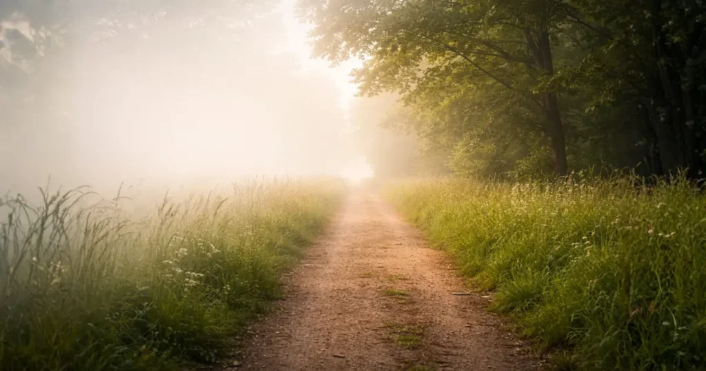 霧がかかった道が徐々に晴れていく様子